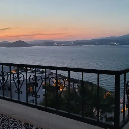 Sea View And Private Pool Selen Willa *